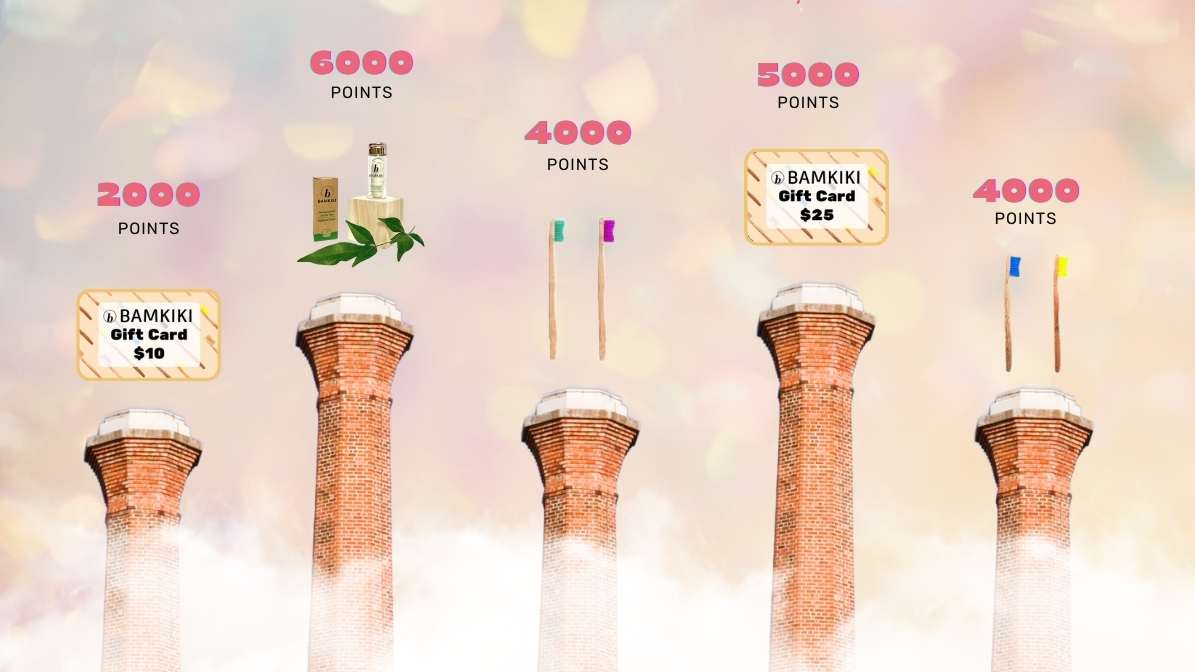 How to redeem points in Bam Club with Bamkiki eco friendly bamboo toothbrush