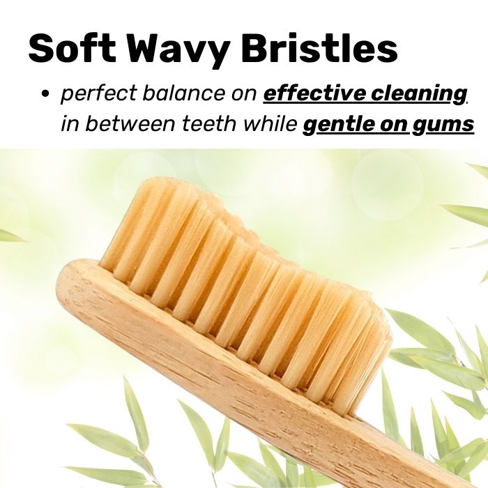 Bamboo Toothbrush: Adult Size