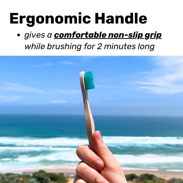 Bamboo Toothbrush: Adult Size