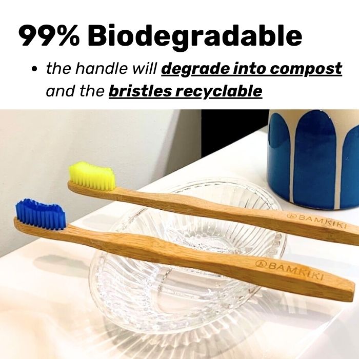 Bamboo Toothbrush: Adult Size