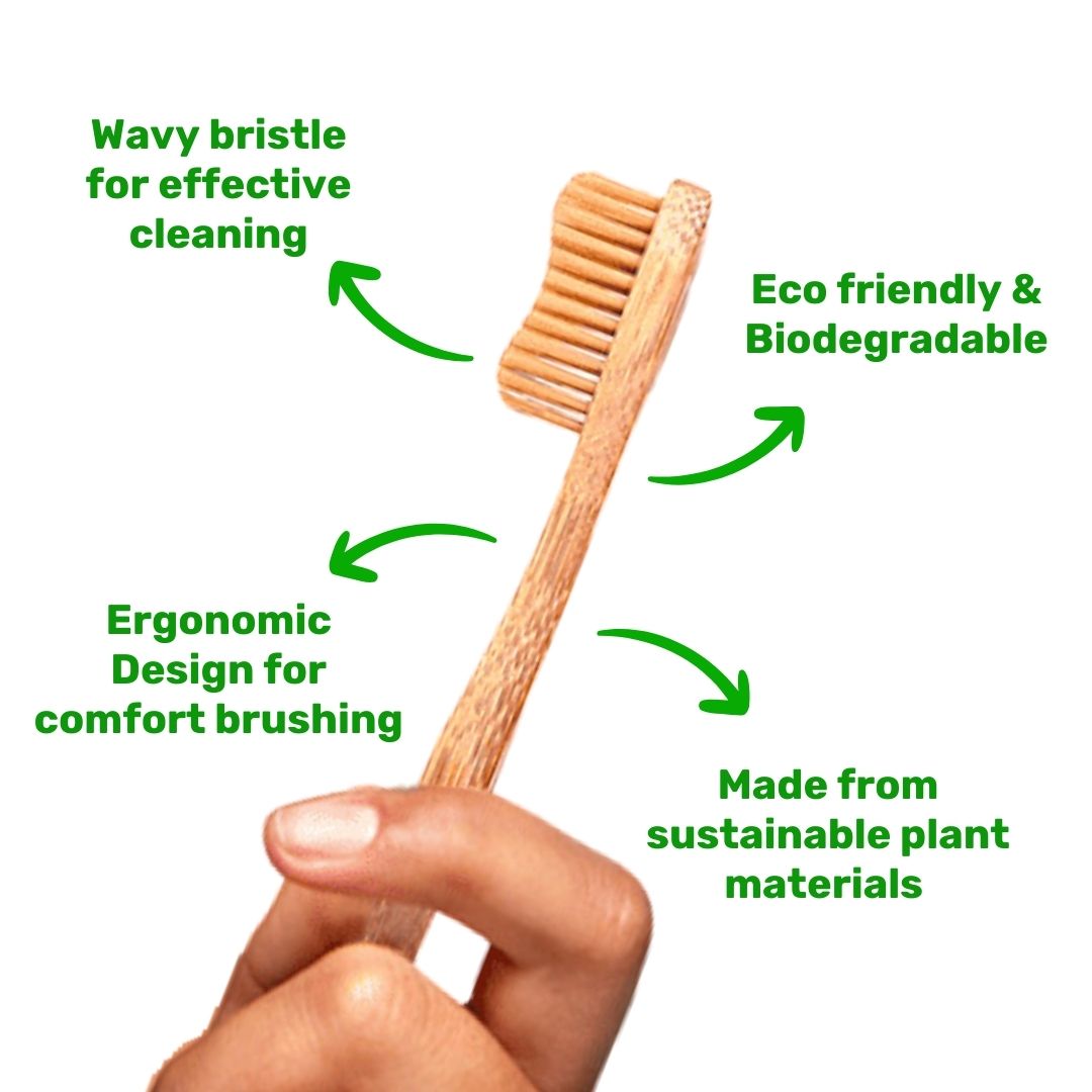 Bamboo Toothbrush: Adult Size